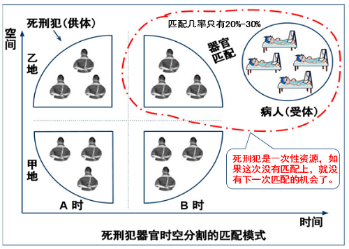 上面的简化图显示，时间上的A时、B时，地方上的甲地、乙地，把死刑犯器官分割成了四个部分，对某时、某地而言，死刑犯器官原则上只能跟那个时间、那个地方的病人受体进行器官匹配，所以，匹配率不高造成的器官浪费是很明显的。