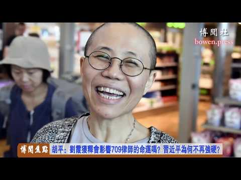 胡平:劉霞獲自由對709律師的影響 習近平軟了? 