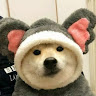 頭像