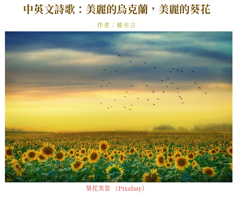Screenshot_2022-11-11_18-19-38.png