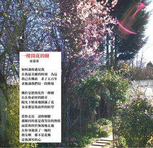 A_Tree_In_Blossom.jpg