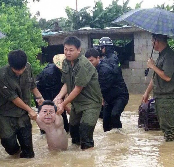 洪水 习猪.jpg