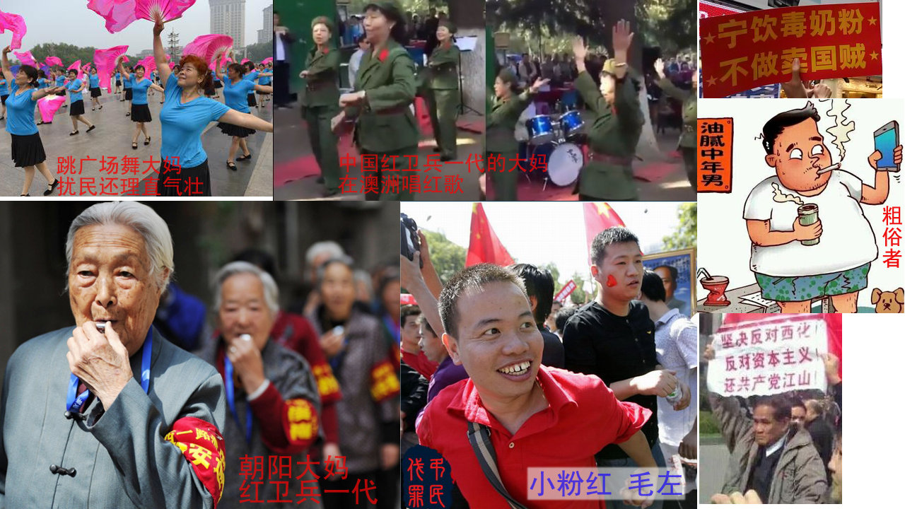 愚民 豬民 紅衛兵 粗俗者.jpg