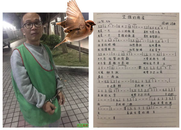 soul-of-a-sparrow-cn-NEW-600.jpg