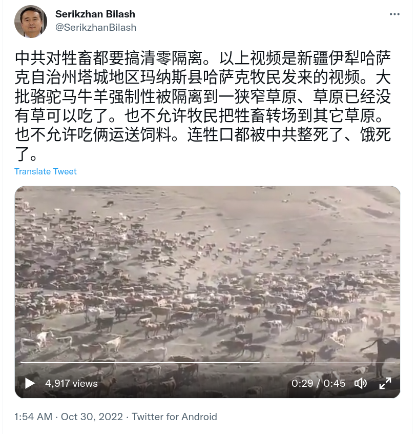 Screenshot_2022-10-30_17-51-22.png