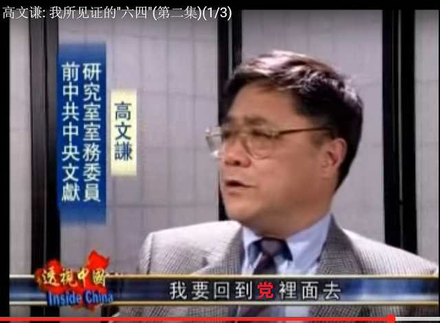 高文谦访谈.png