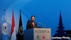 国际刑警组织主席、中国公安部副部长孟宏伟 （国际刑警组织官网图片）
