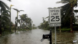 飓风过后，佛罗里达那不勒斯一条沿海街道被淹的景象 (2017年9月10日)
