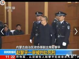 Image result for 赵黎平，阿波罗网